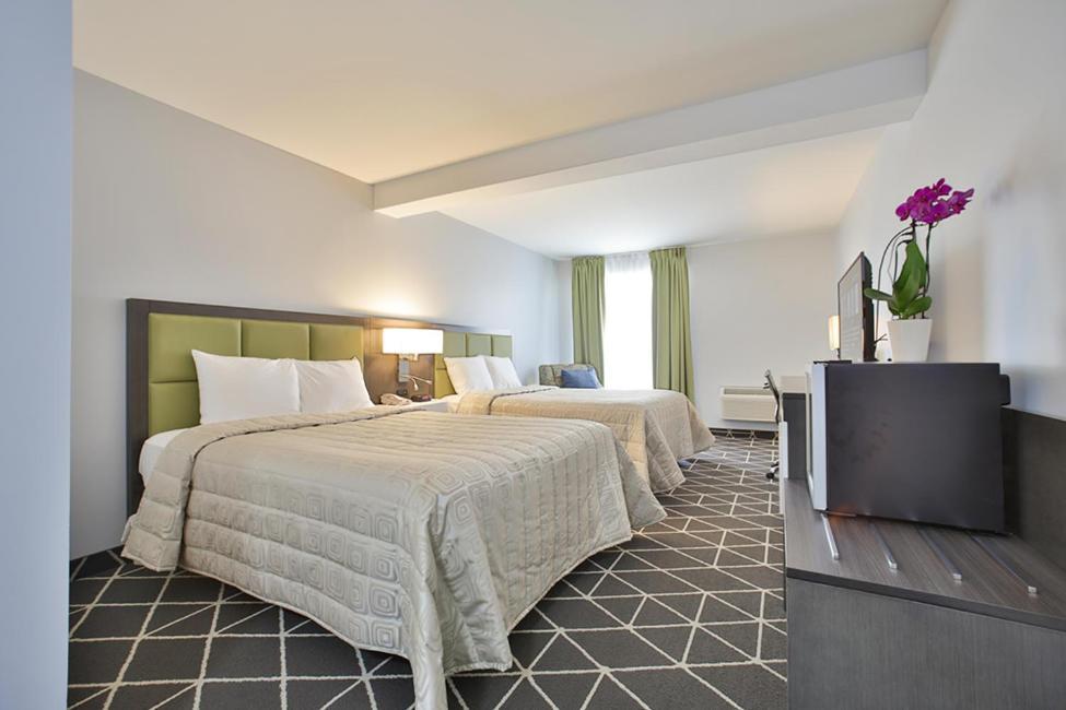 Palmerston King Hotel מראה חיצוני תמונה