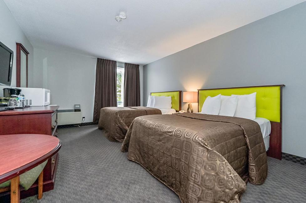 Palmerston King Hotel מראה חיצוני תמונה
