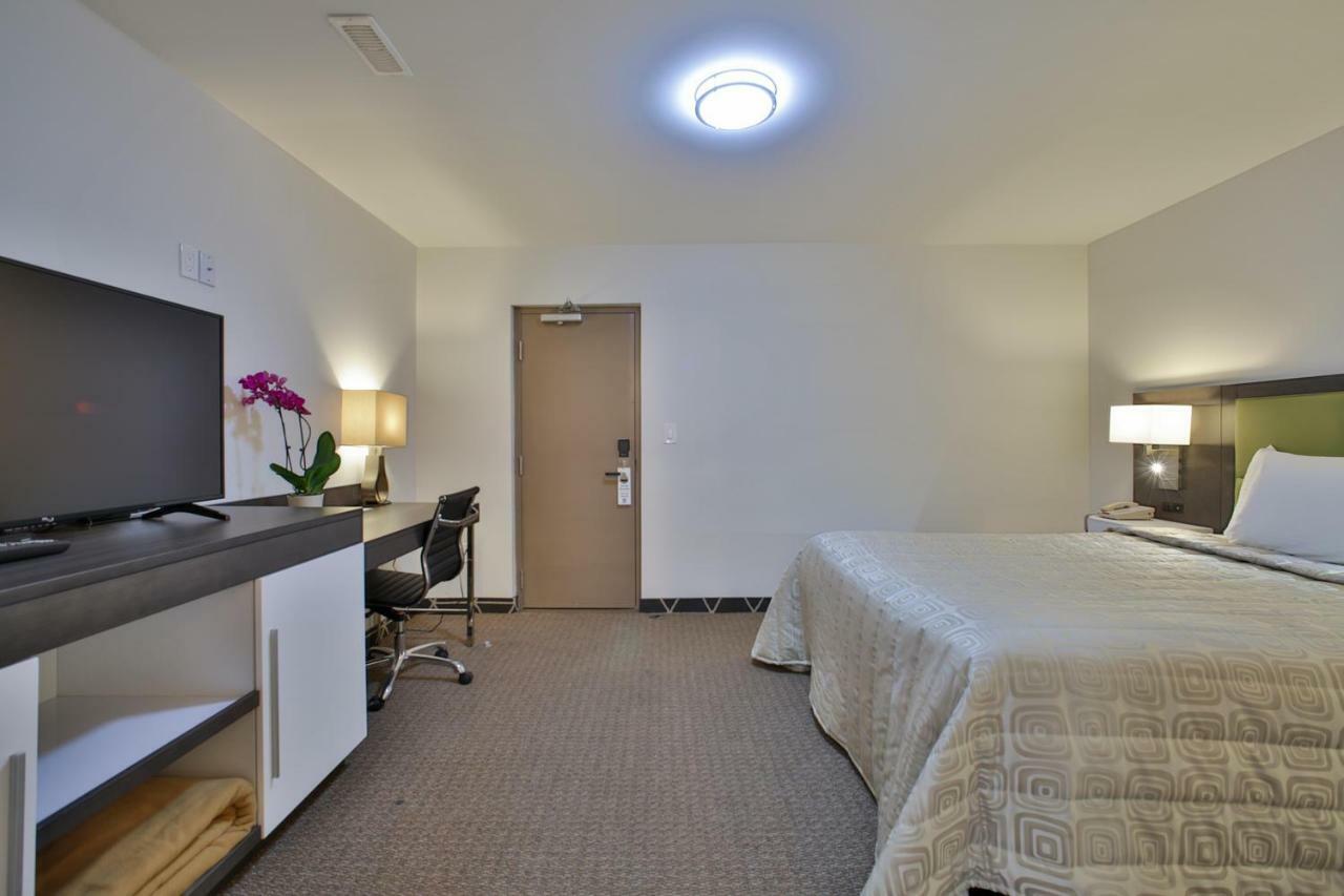 Palmerston King Hotel מראה חיצוני תמונה