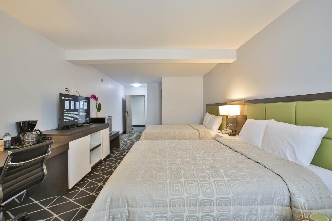 Palmerston King Hotel מראה חיצוני תמונה