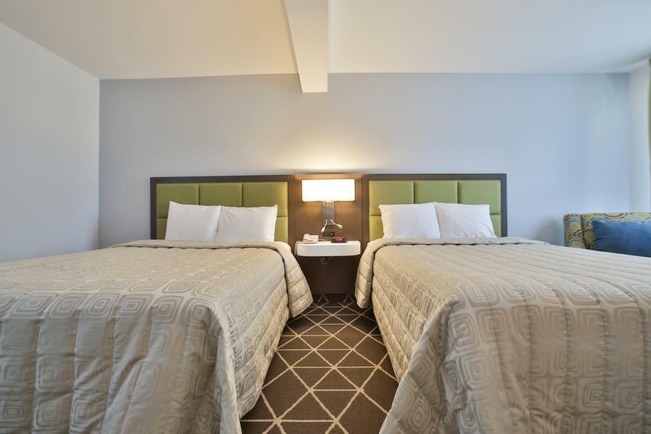 Palmerston King Hotel מראה חיצוני תמונה